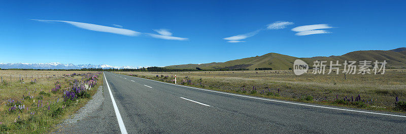 Mackenzie Country Panorama，新西兰